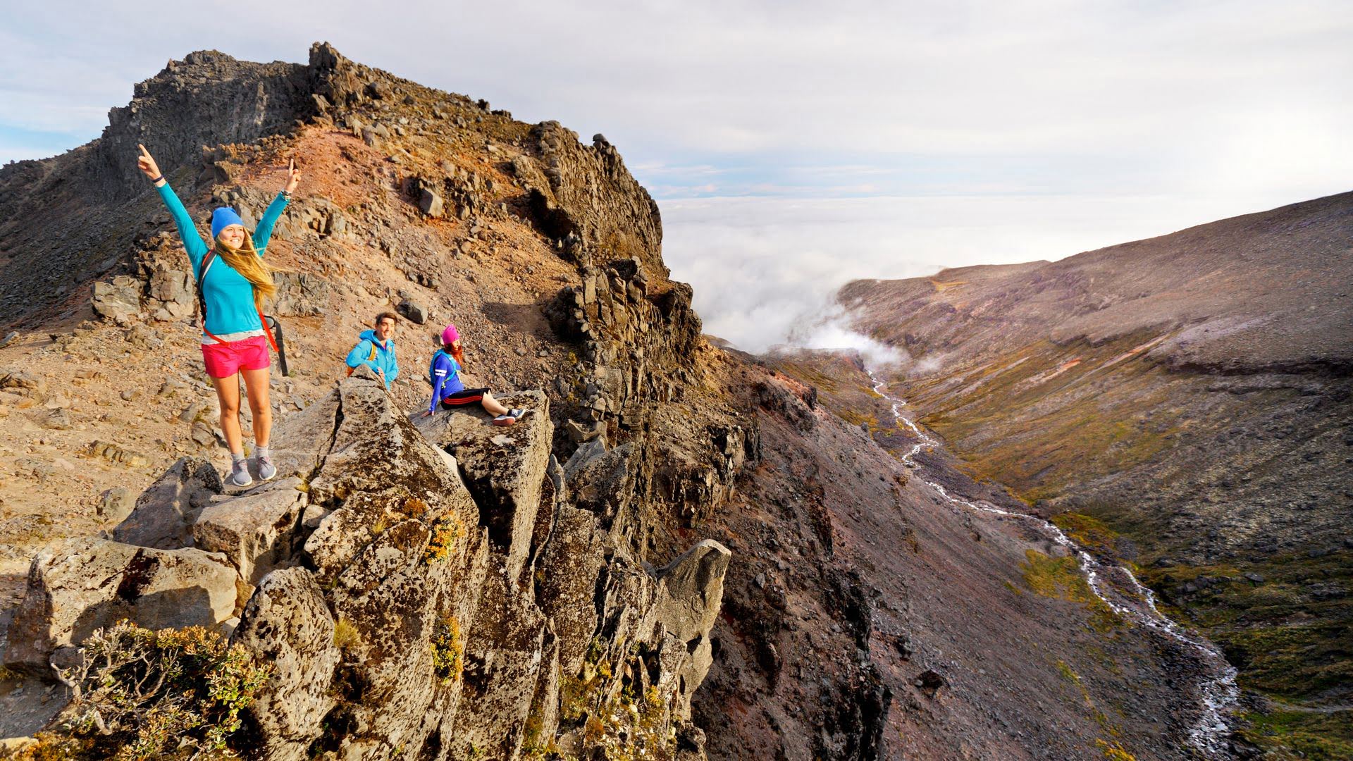 Meads Wall HB - Visit Ruapehu .jpg